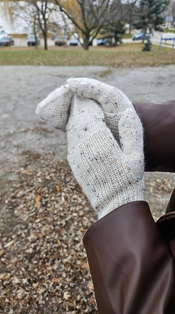 Twin Mittens