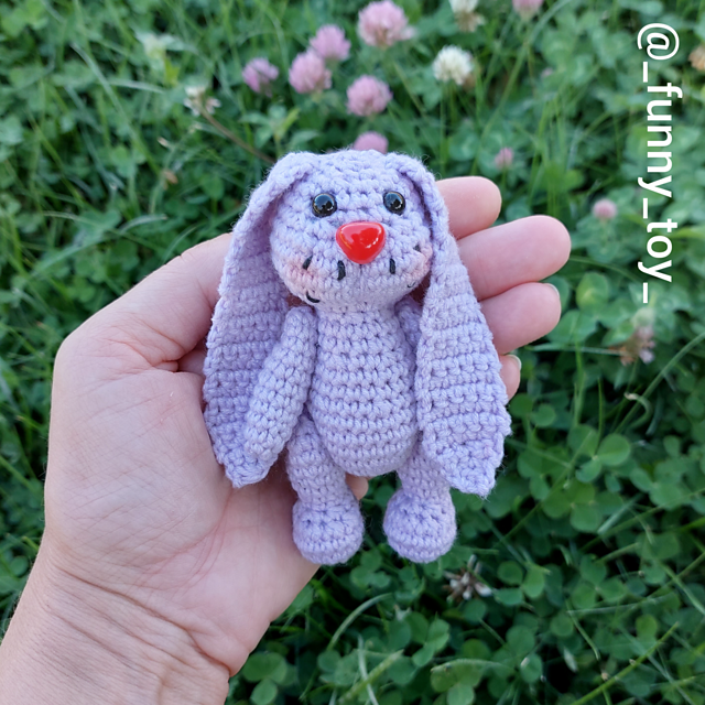 Little bunny