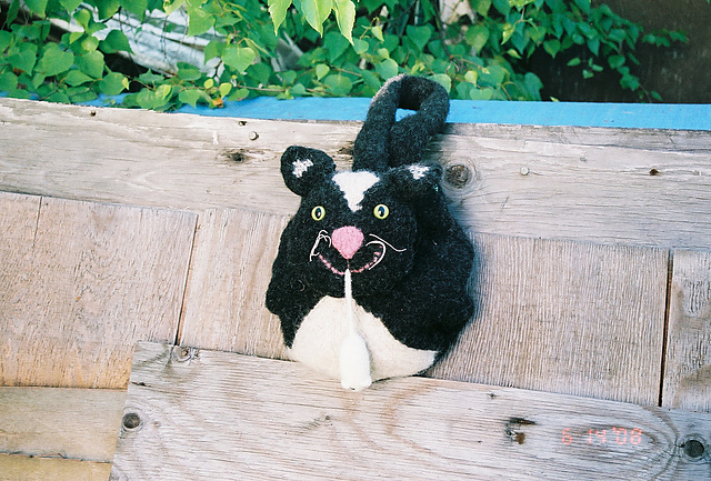 Cat & Mouse