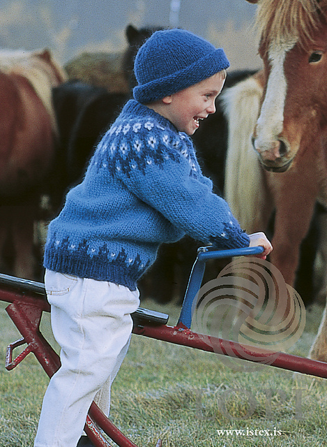 Lopi 12-25 -  Fannar / Pullover
