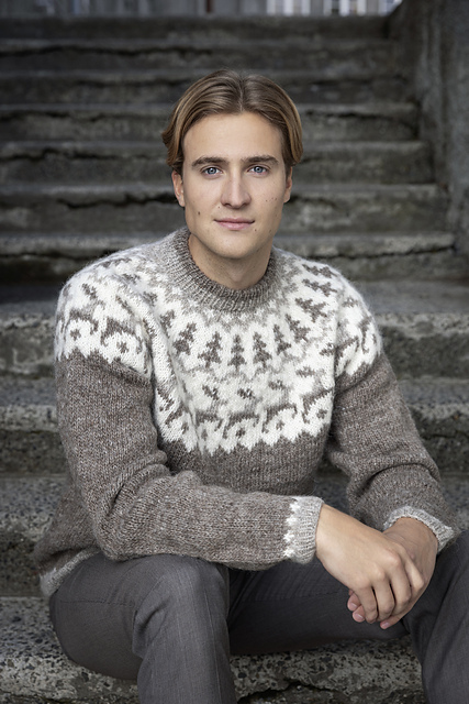 Rhodo lirioN ロドリリオン VNECK PULLOVER CHECK Ravelry: Hreindýr í snjó pattern by Védís Jónsdóttir for Ístex