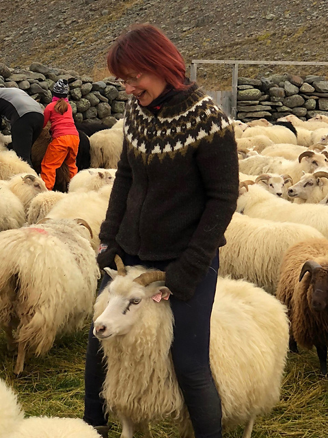 トップス ssstein OBLIQUE PATTERNED KNIT LS size:s ssstein / シュタイン】OBLIQUE PATTERNED KNIT CARDIGAN - GREY