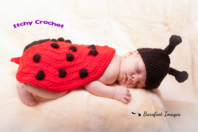 Lady bird / lady bug baby photo prop