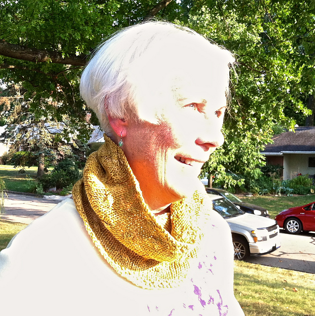 Primary - Short Cowl