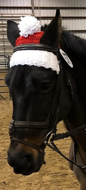 Horse Bonnet