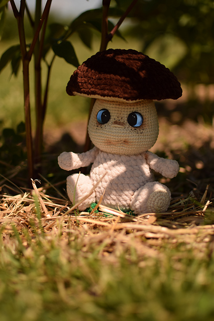 Mushroom