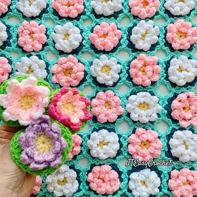 Lotus Flower and Blanket