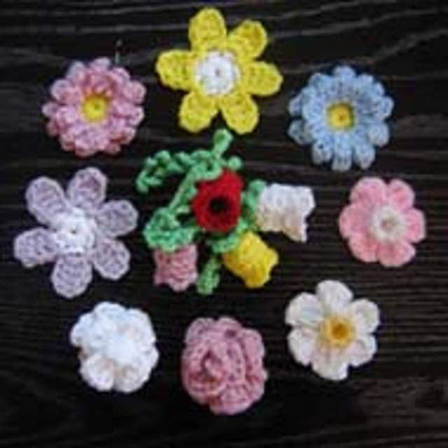 5 Beginner Flowers