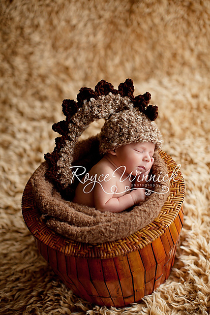 Baby Dinosaur Hat Photography Prop