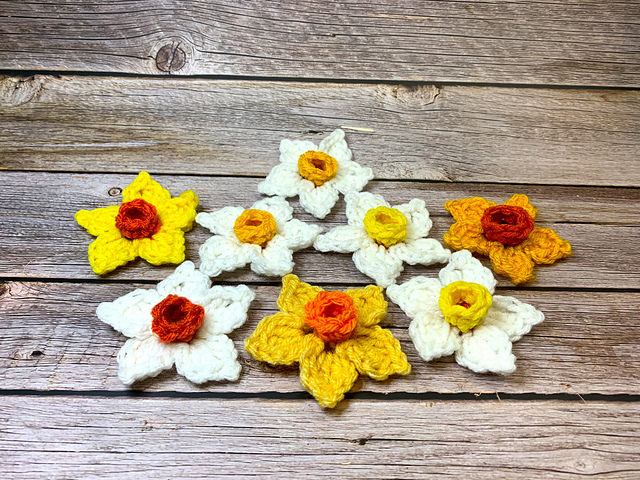 Daffodils Flowers