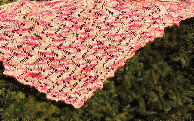 Amble Shawl