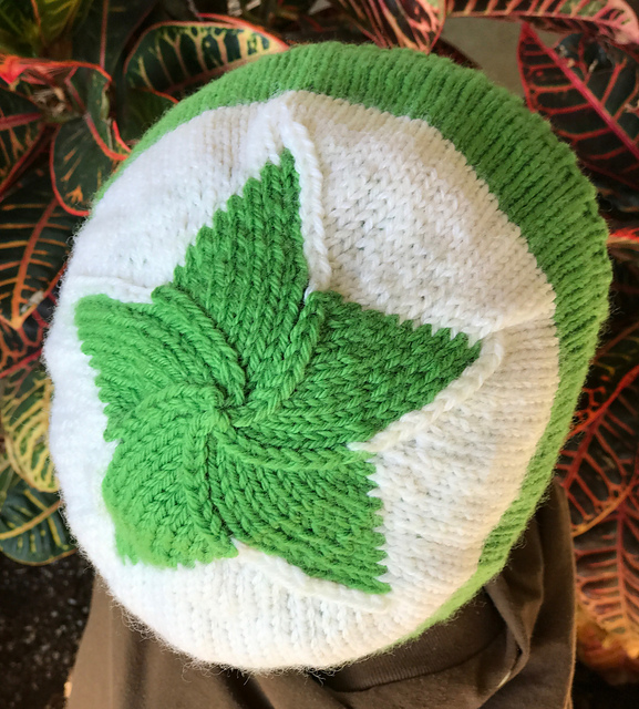 Ĉapelo de Esperantujo / Esperanto Hat