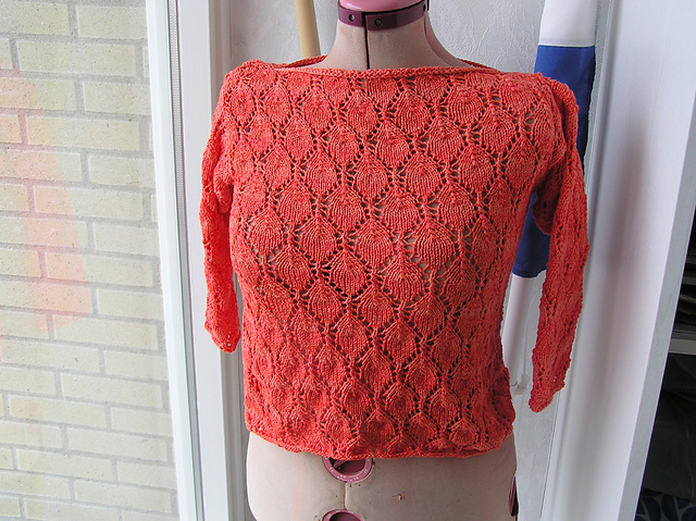 # 15 Biosoja Pulli