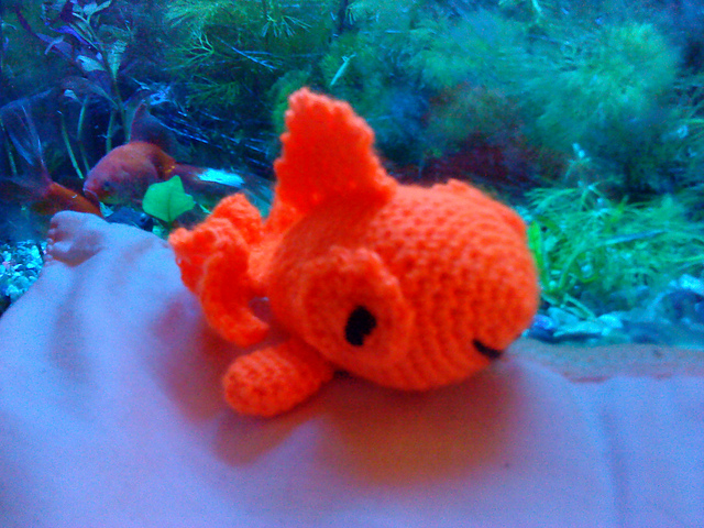 Funky Fish