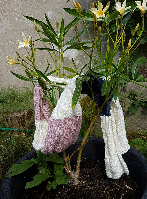 Schal für Ruth