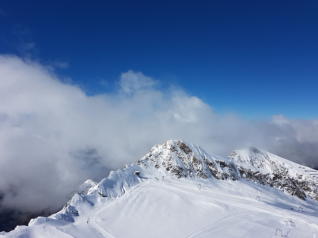 Schneetanne