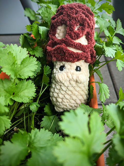 Morel the Cheeky Shroom