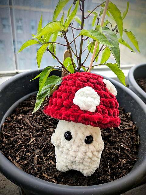 Crimson the Cheeky Shroom