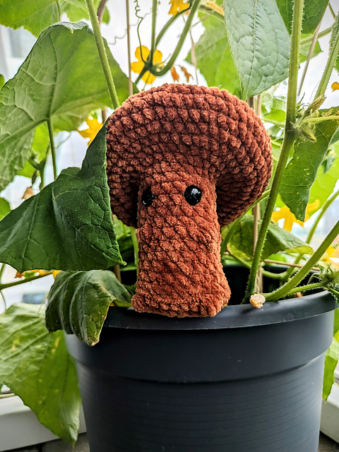 Chanterelle the Cheeky Shroom