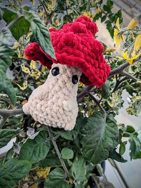 Bubble the Cheeky Shroom