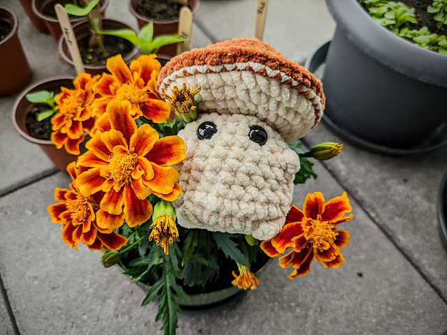 Button the Cheeky Shroom
