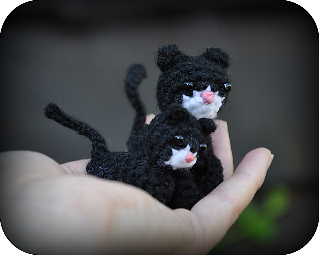 Cat and Kitten