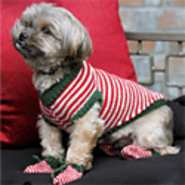Li'l Elf Dog Set