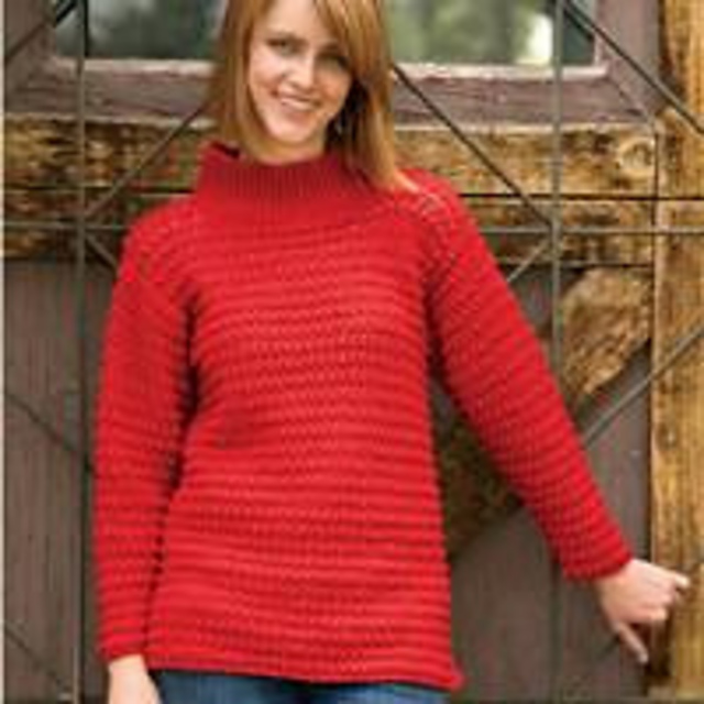 Holly Berry Tunic