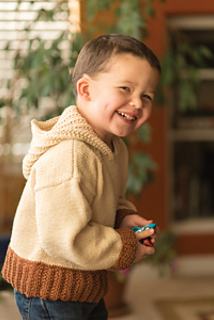 Snickerdoodle Sweater