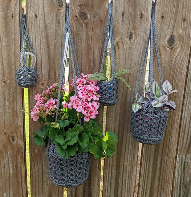 Iridescent Iris Plant Hanger