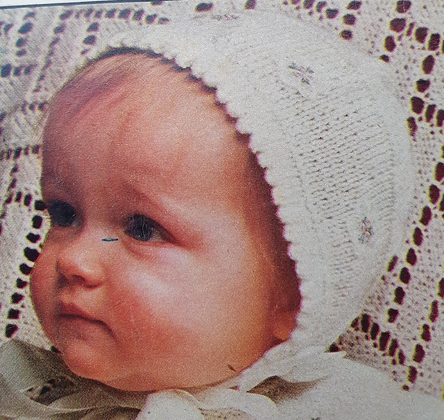 The Bonnet
