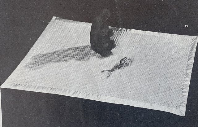 A Cover in Ariel