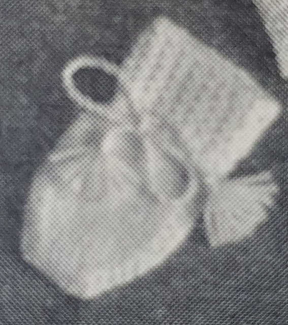 Mitts