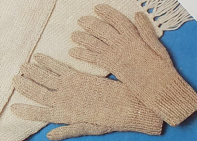 Gloves