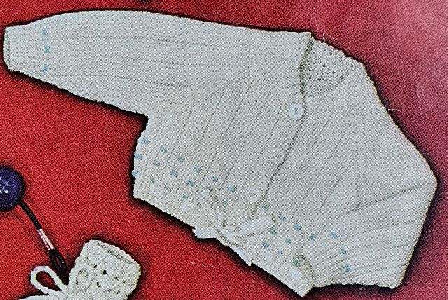 The Cardigan