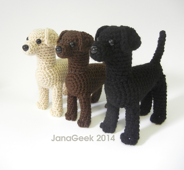 Labrador Retriever Puppy