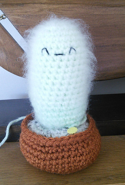 Old Man Cactus