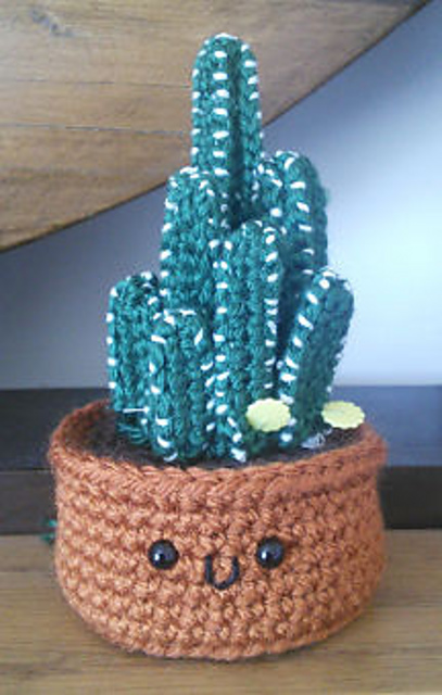 Fairy Castle Cactus