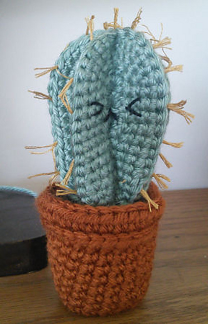 Gray Ghost Organ Pipe Cactus