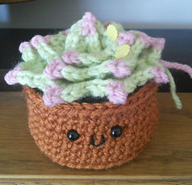 Hen & Chicks Succulent