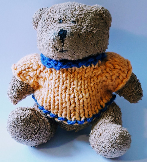 Sweater for Charlotte's Bear.