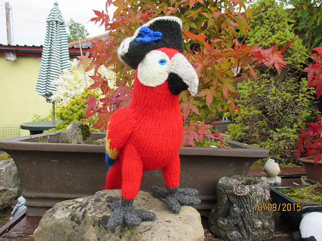 Pretty Polly Parrot