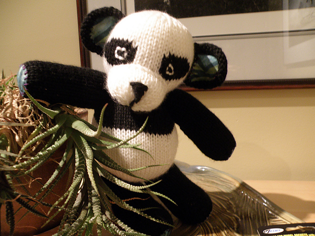 Penny the Panda