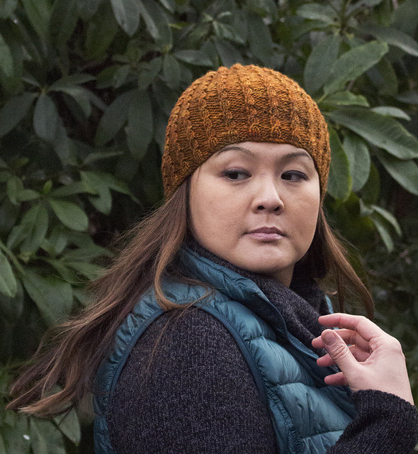 Woodard Bay Hat in DK Weight Yarn