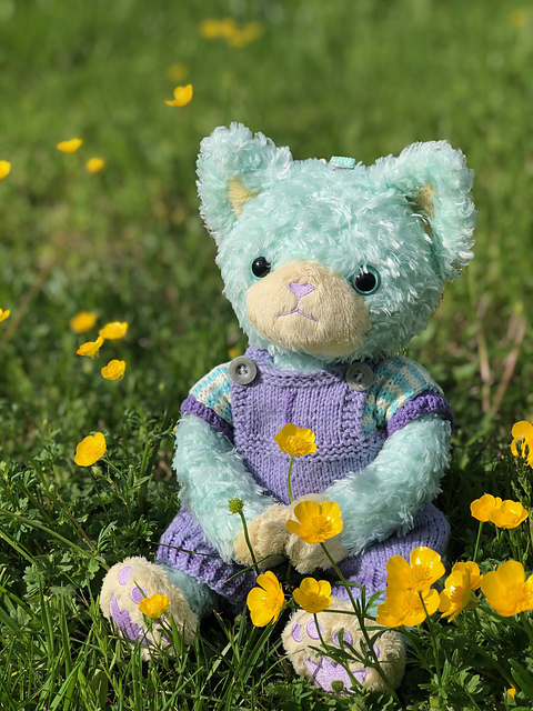 Teddy bear dungarees and top