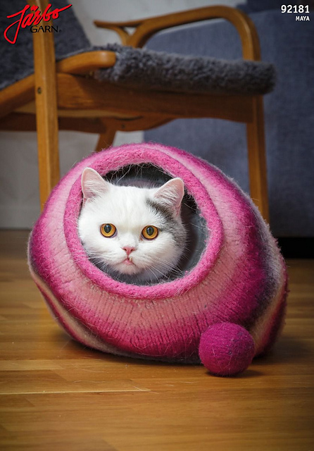 Filtad kattgrotta och boll