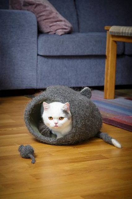 Felted catcave with ears and tail