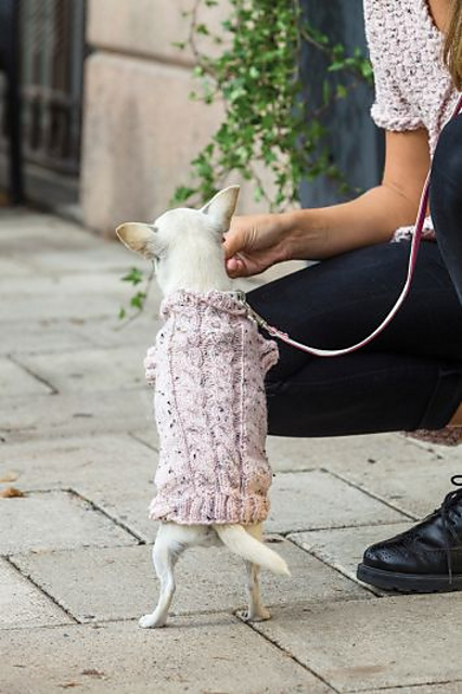 91687. HUNDTRÖJA MED FLÄTOR