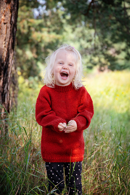 Frideborg - sweater