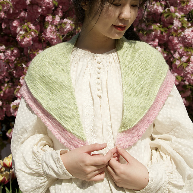 Bourgeon Shawl